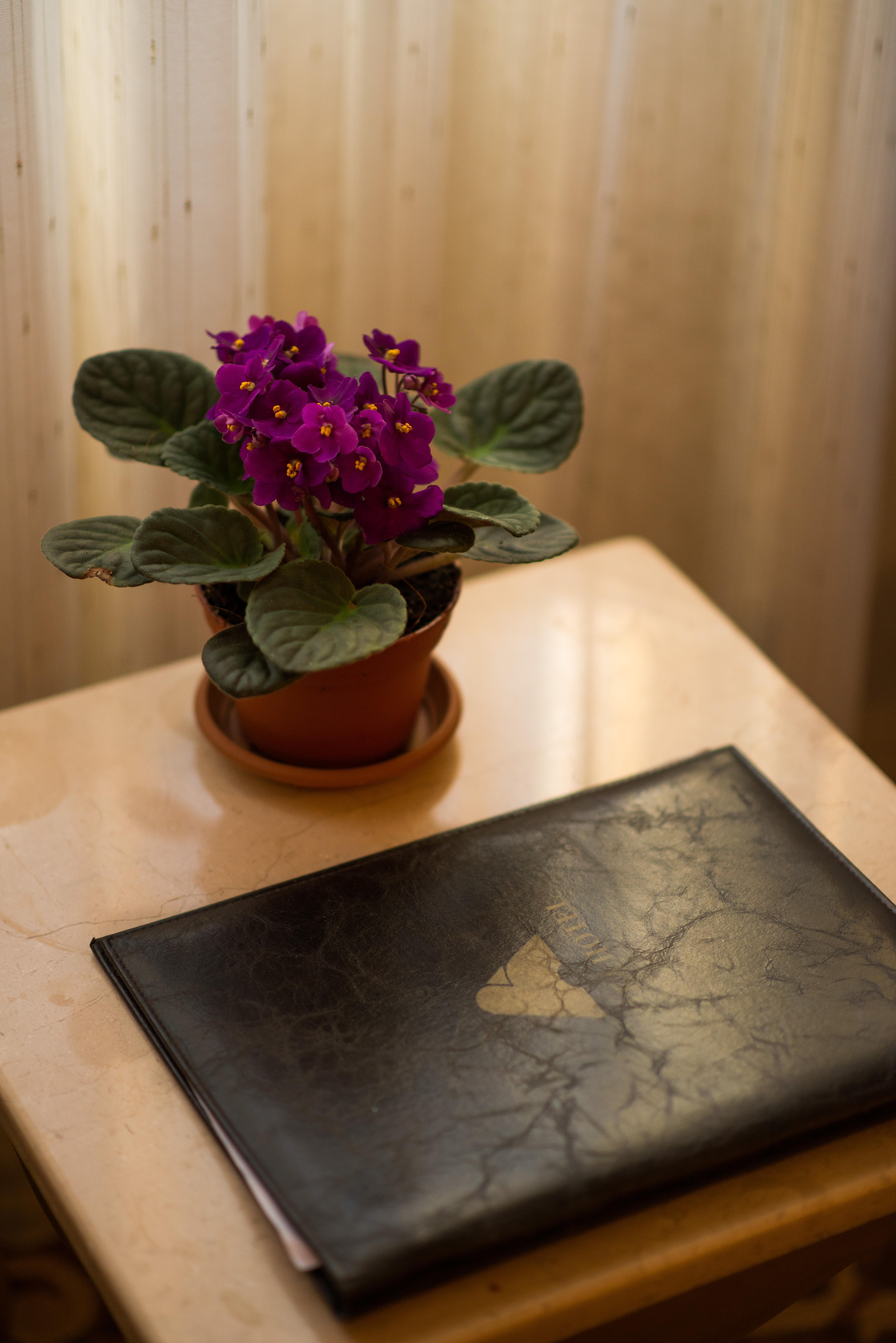 Otel Antea Oldcity -special Category İstanbul
